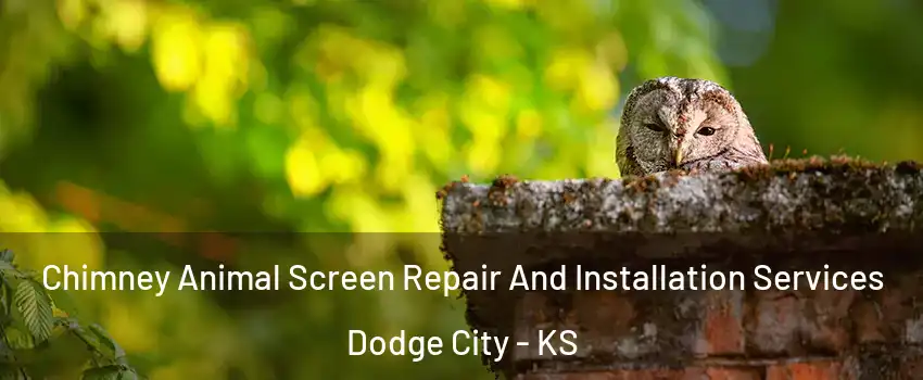  Chimney Animal Screen Repair And Installation Services Dodge City - KS