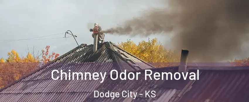  Chimney Odor Removal Dodge City - KS
