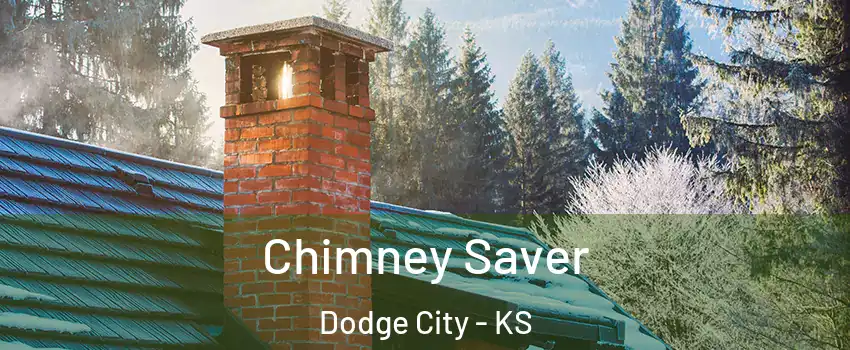  Chimney Saver Dodge City - KS