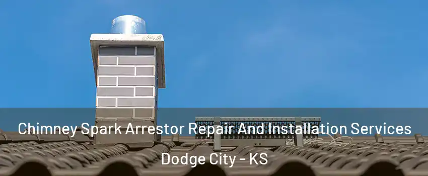  Chimney Spark Arrestor Repair And Installation Services Dodge City - KS