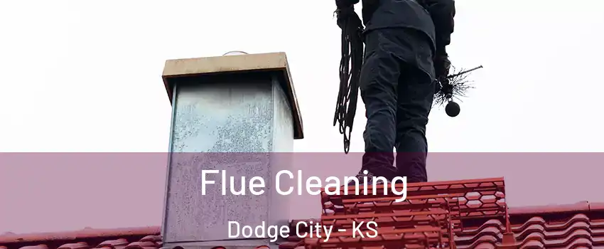  Flue Cleaning Dodge City - KS