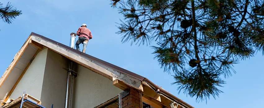 Birds Removal Contractors from Chimney in Dodge City, KS