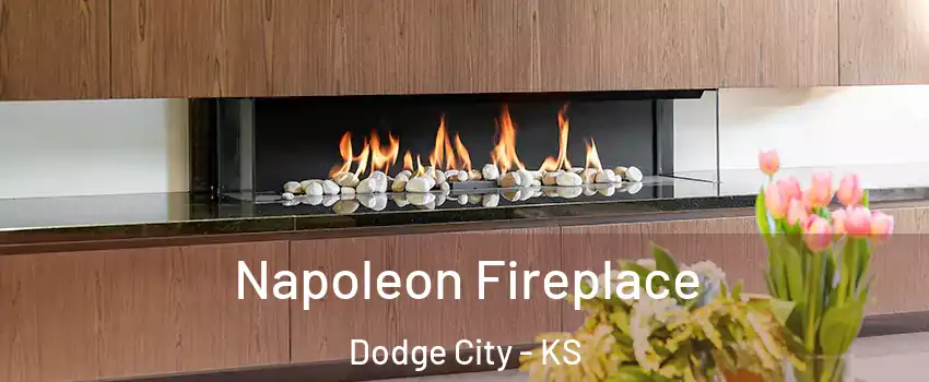  Napoleon Fireplace Dodge City - KS